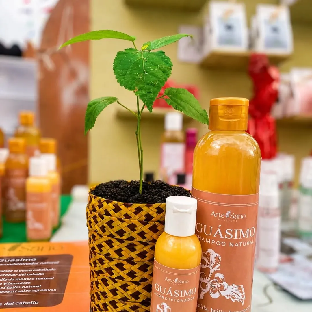 Shampoo y Acondicionador de Guásimo de Arte'Sano